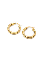 Load image into Gallery viewer, Water/Sweat Resistant Everyday Okay Hoop Earrings