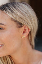 Load image into Gallery viewer, Triple Threat Tortoise Floral Earring Set
